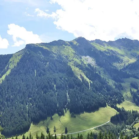 Domek alpejski Almhuette Lengau