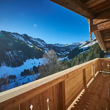 Almhuette Lengau Domek alpejski Saalbach-Hinterglemm
